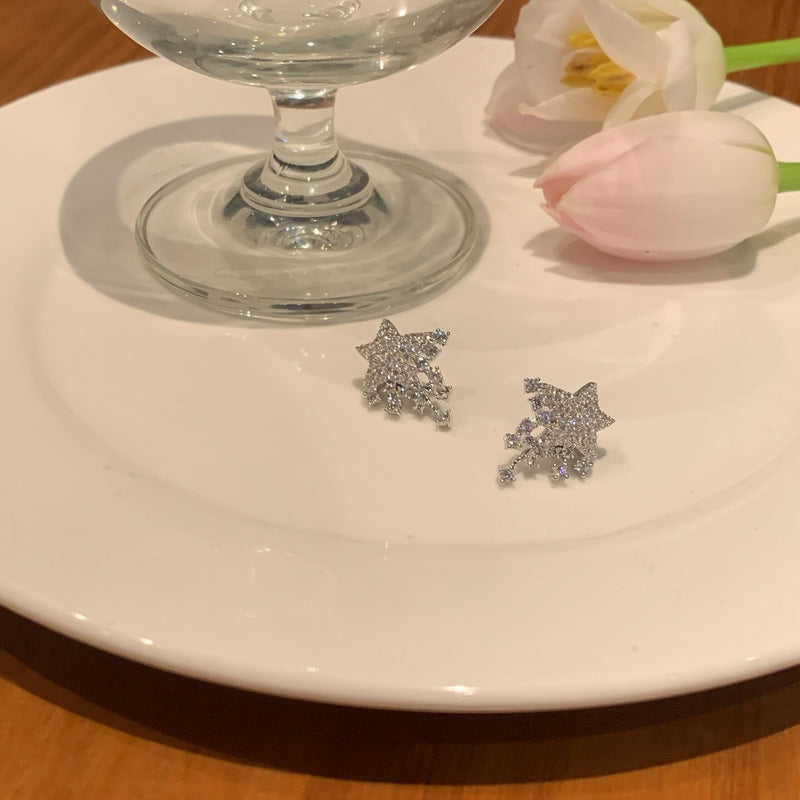 銀針鋯石星星吊墜耳釘女輕奢高級感耳環精致時尚個性百搭奢華耳飾