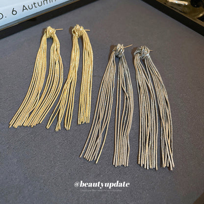 歐美輕奢金屬流蘇耳環小眾簡約時尚長款耳釘耳墜高級感耳飾批發女