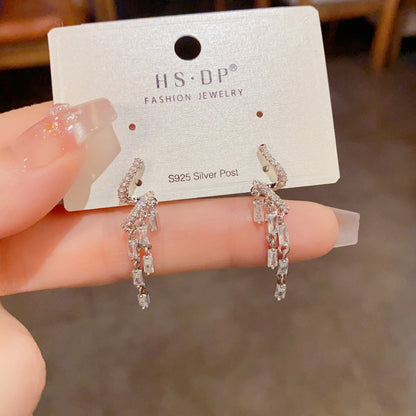 S925鋯石扭紋流蘇耳墜－第二視角實拍｜https://igowo.tw/
