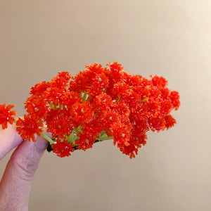 劉亦菲晚宴同款滿天星發夾戒指優雅輕奢氣質鴨嘴夾精致高級感發飾
