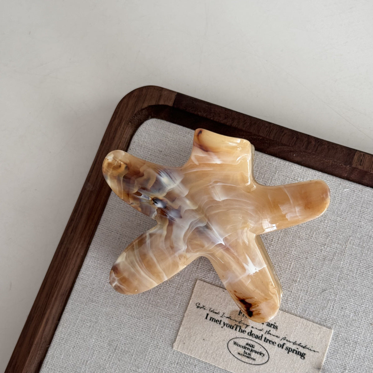 棕色海星簡約鯊魚夾