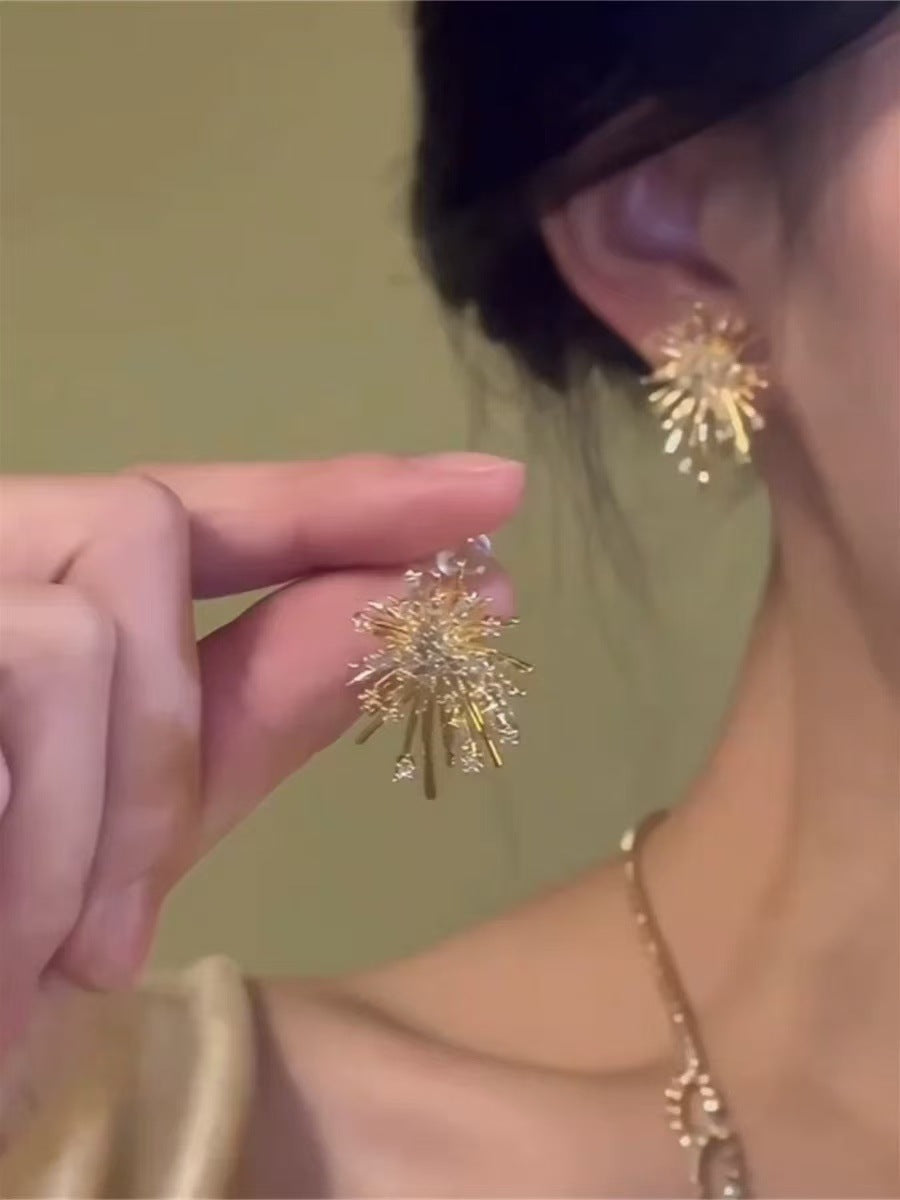 銀針鑲鉆鏤空花朵流蘇耳環女歐美時尚氣質耳釘輕奢高級感耳飾批發