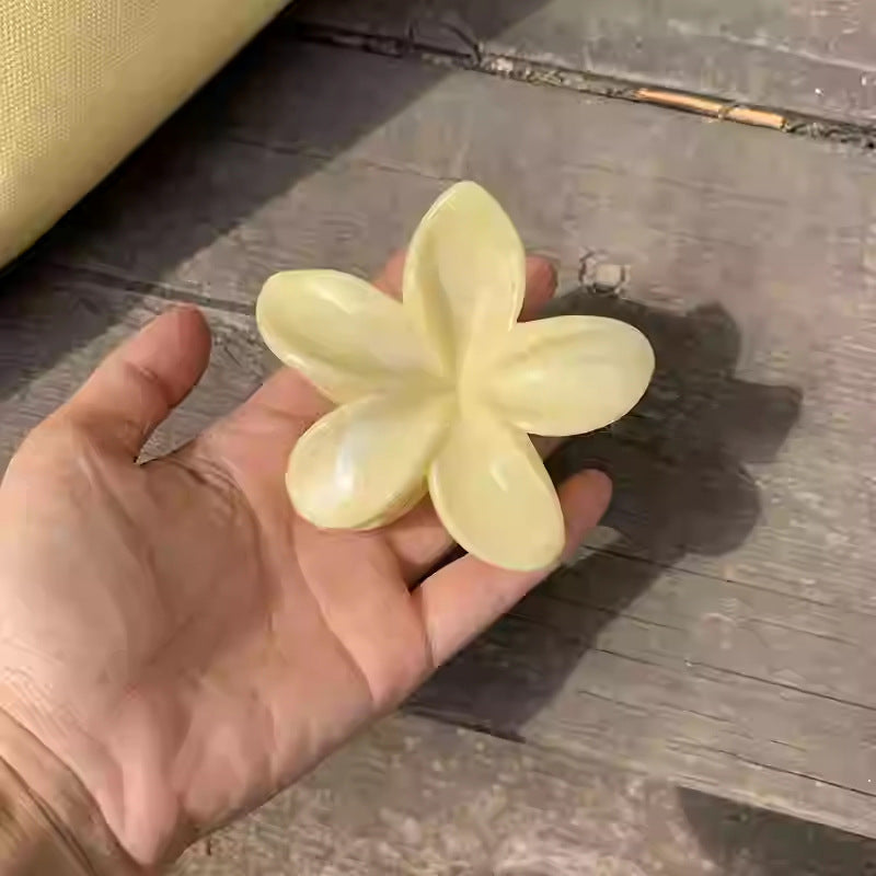 黃色海星花朵鯊魚夾