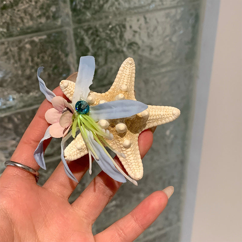海星貝殼髮夾