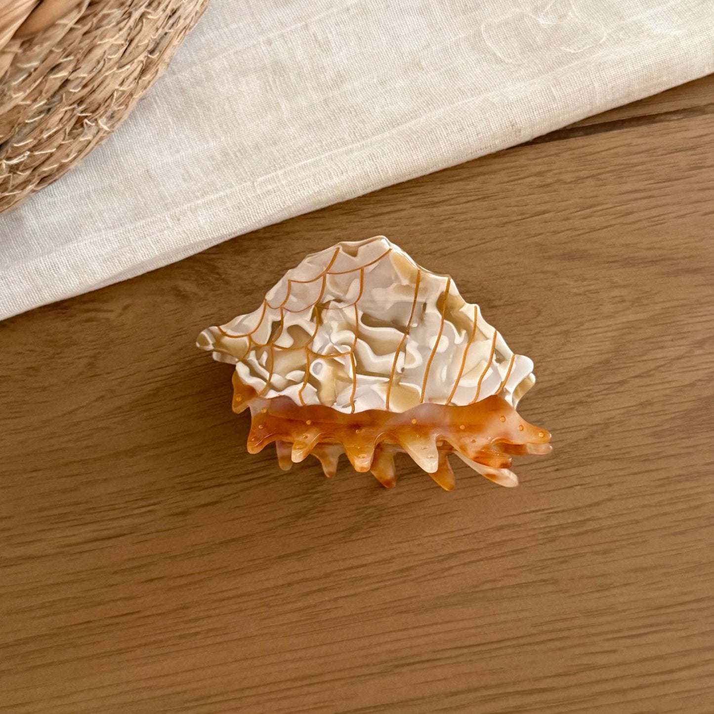 醋酸板材海星鯊魚夾
